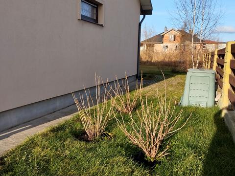 будинок за адресою Січових Стрільців, 3