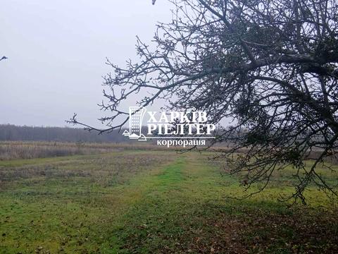 будинок за адресою Центральна