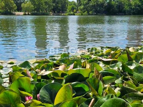 квартира за адресою Юрія Шумського вул., 1