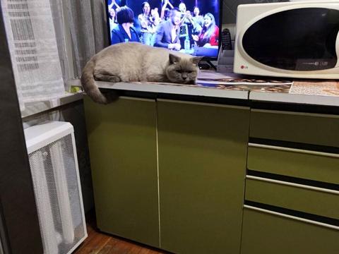 квартира за адресою Покровський житловий масив вул., 3-В