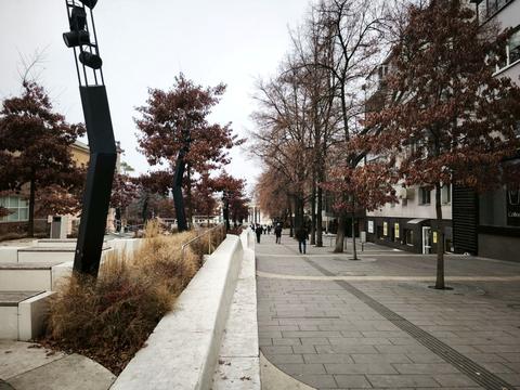 квартира за адресою Шевченка пл., 4