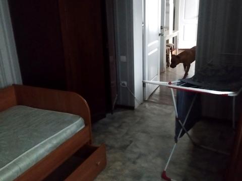 будинок за адресою Святослава Ріхтера вул. (Щорса), 114