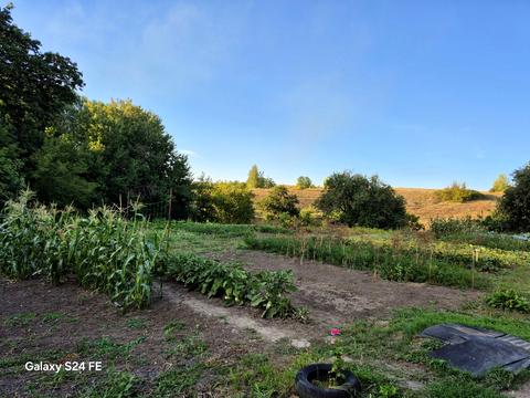 будинок за адресою Зоряна, 12