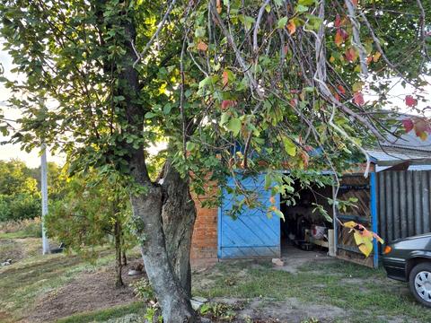 будинок за адресою Зоряна, 12