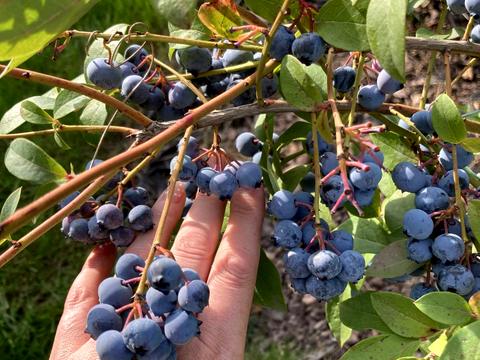 будинок за адресою Богатирська вул.