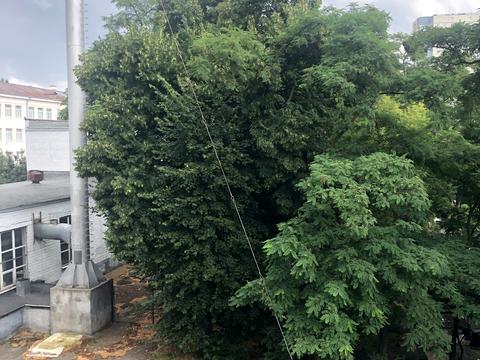 квартира по адресу Белорусская ул., 30-А