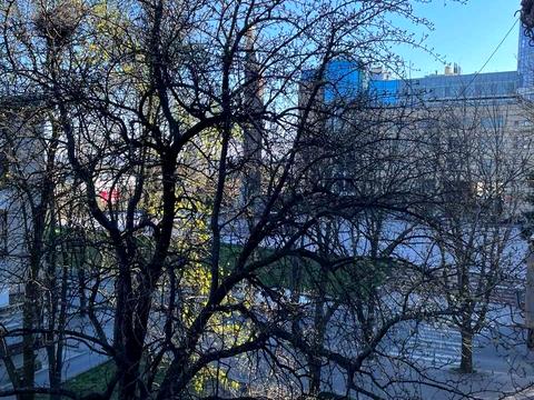 квартира за адресою Дніпро, Дмитра Яворницького просп. (Карла Маркса), 4