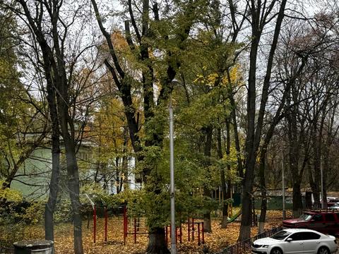 квартира за адресою Цитадельна вул., 4/7