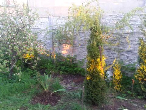 будинок за адресою Соборна вул.