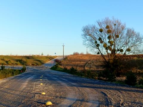 участок по адресу Центральна