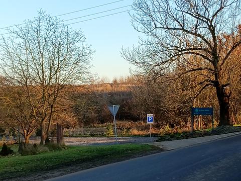 участок по адресу Центральна