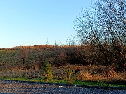 участок по адресу Центральна