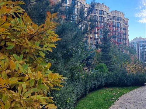 квартира за адресою Мартинова просп., (вул. Щаслива, 63)