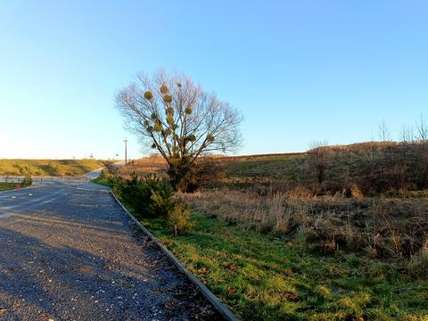 участок по адресу Центральна