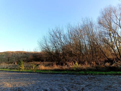 участок по адресу Центральна