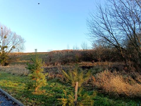 участок по адресу Центральна