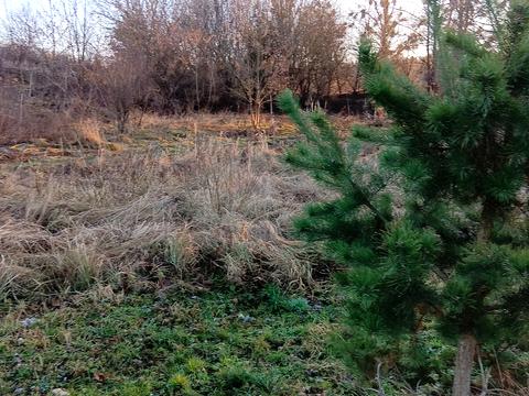 участок по адресу Центральна