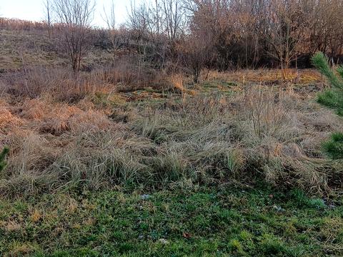 участок по адресу Центральна