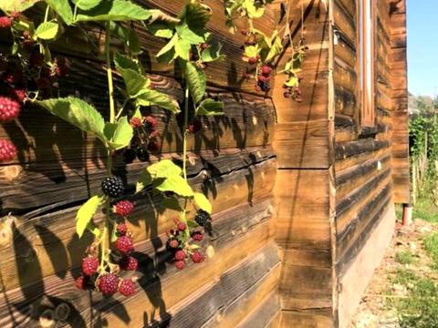 будинок за адресою с. Микитинці, Черепкова, 43