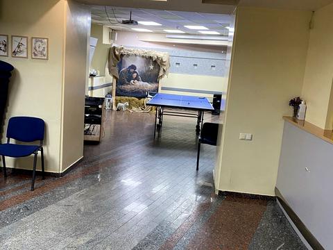 комерційна за адресою Дмитра Яворницького просп. (Карла Маркса), 20