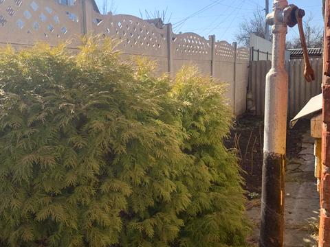 будинок за адресою Скадовського пров.