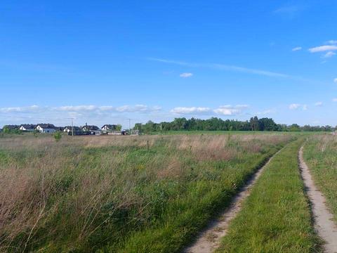 ділянка за адресою с. Музичі, Паркова