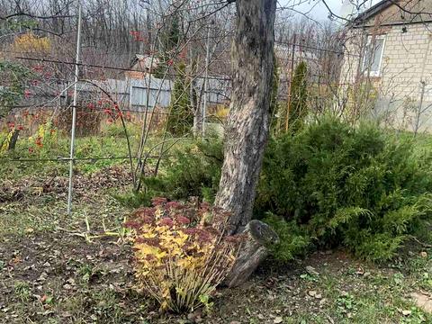 будинок за адресою офіцерський