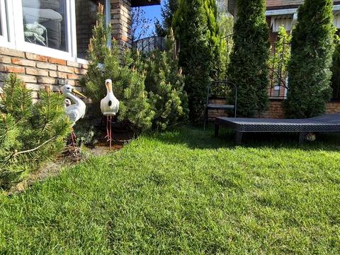 будинок за адресою Бульварна