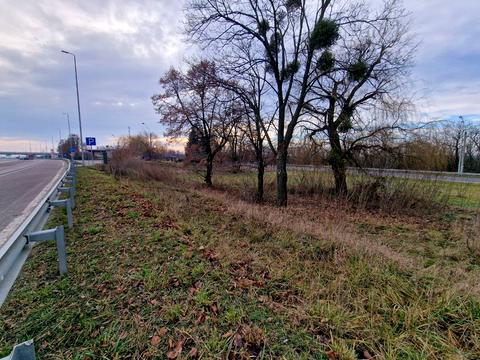 ділянка за адресою Київська вул.