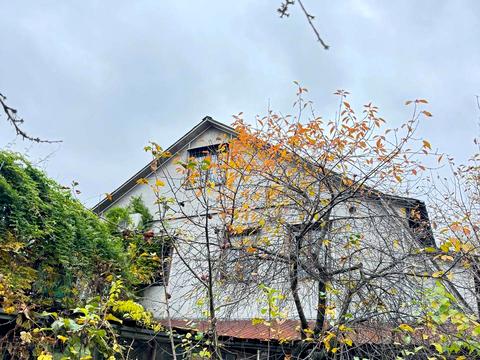 дом по адресу Русановские Сады ул.