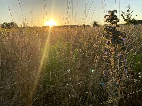 ділянка за адресою Леніна