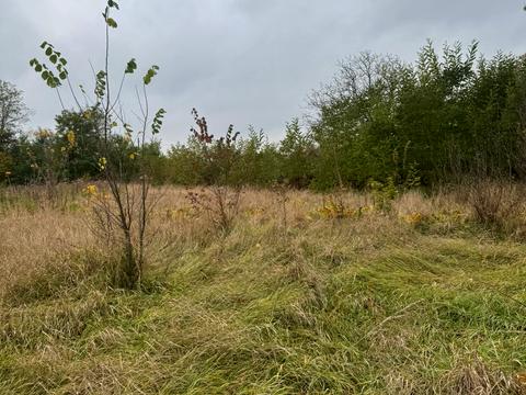 ділянка за адресою Леніна