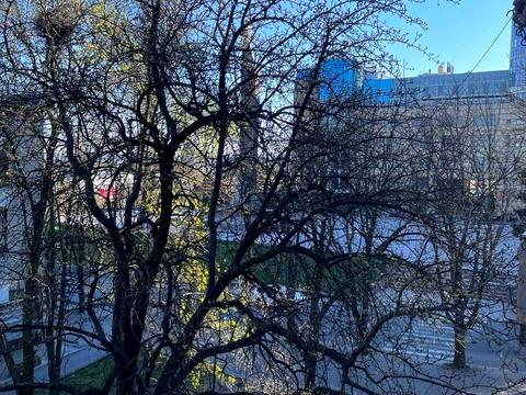 квартира за адресою Дмитра Яворницького просп. (Карла Маркса), 4