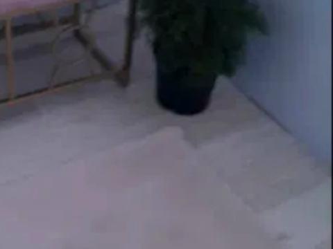 квартира за адресою Лісовий просп., 31