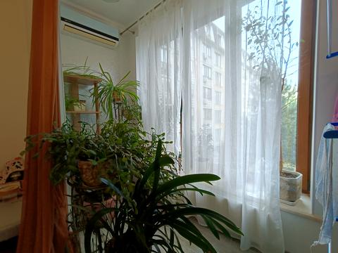 квартира за адресою Добровольців вул. (Маршала Говорова), 10в