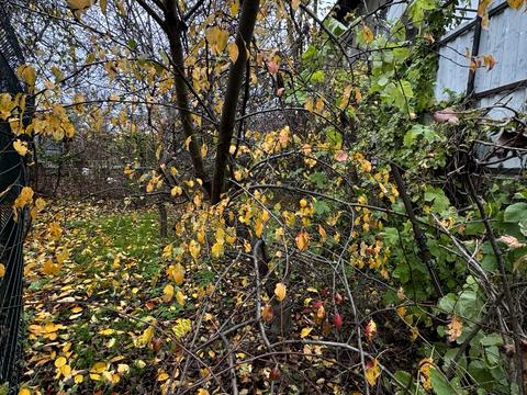 дом по адресу Дмитриевская ул. (Дмитрия Донского), 34