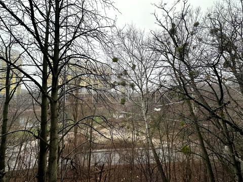 квартира по адресу Петра Радченко ул., (Будинок)