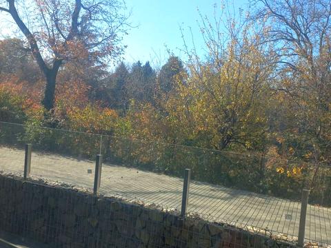 квартира за адресою Ілони Зріні вул., 67