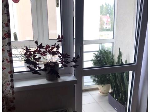 квартира по адресу Метрологическая ул., 109-А