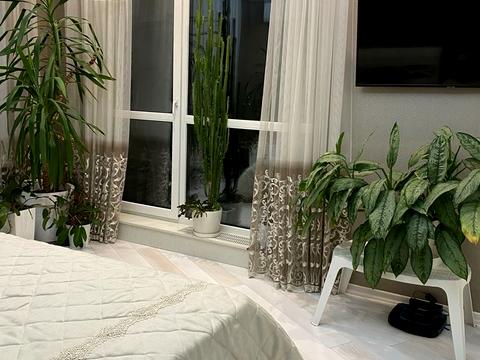 квартира за адресою Джона Маккейна вул. (Івана Кудрі), 7