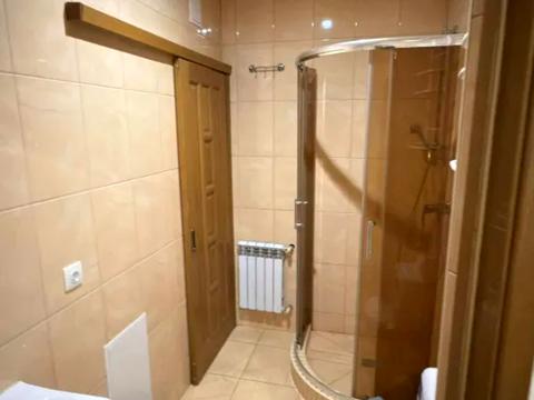 коммерческая по адресу Леси Украинки просп. (Пушкина), 12