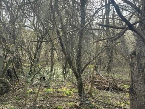 участок по адресу Річна