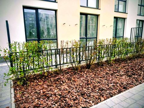 квартира за адресою Бічна зелена