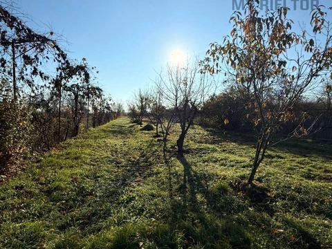 будинок за адресою Центральна, 80