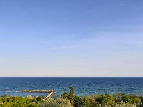 квартира по адресу Дача Ковалевского ул., 91