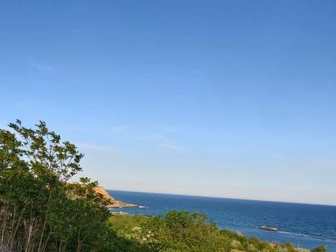 квартира по адресу Дача Ковалевского ул., 91