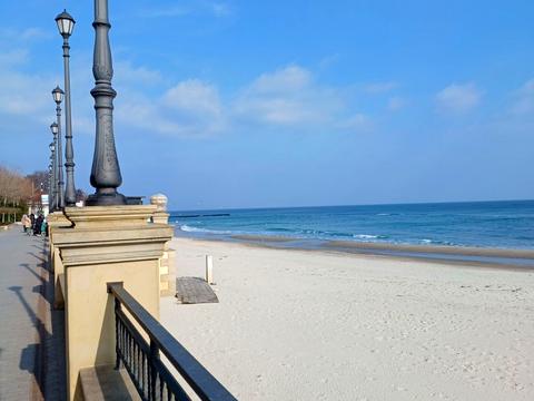 квартира по адресу Дача Ковалевского ул., 91