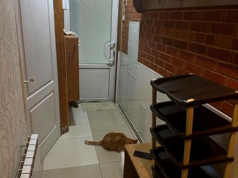 будинок за адресою Мильмана