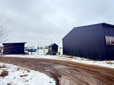 комерційна за адресою Петраша вул., 48