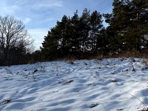 участок по адресу Вербовая ул., 10